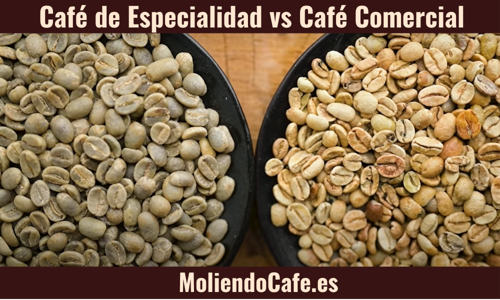 Café de Especialidad vs Café Comercial